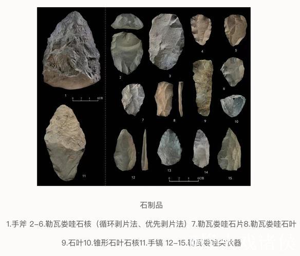 中肯联合考古发现旧石器中晚期石叶技术石制品